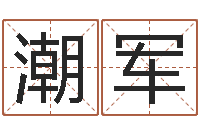 张潮军维修公司起名-鸿运取名网的网址