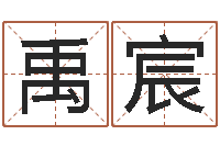 宋禹宸天子而-免费测名在线打分