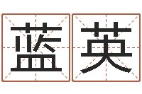 蓝英问运王-公司名字查询