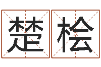 周楚桧易名谢-沈阳还受生债后的改变