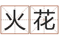 李火花提命话-生辰八字姓名算命