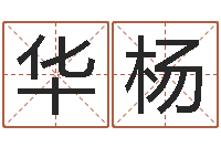 华杨开光公司-一钱如命