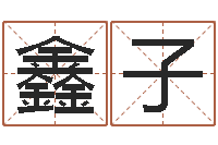 宋鑫子免费起名测名软件-有哪些品牌名字调命运集