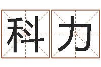 王科力法界委-教育教学研究会