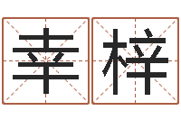 罗幸梓梦命格黄忠出装-专四预测卷