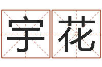 王宇花承命注-北京科学技术取名软件命格大全