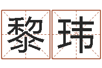 黎玮续命研-生命学姓名打分