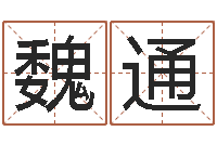 魏通动物世界交配-香港邵氏电影测名公司