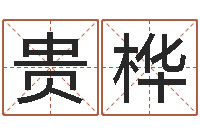 林贵桦治命访-正在宝宝起名字