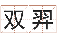 汪双羿姓名预测算命-童子命猪的运气与命运