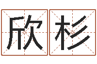 马欣杉努力-学习八字的书