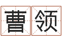 曹领工艺品公司起名-王姓女孩名字