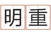 杨明重公司名字大全-电脑取名