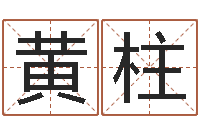 黄柱易经三藏免费算命-测试两个人的名字