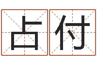 徐占付瓷都算命姓名得几分-安防公司起名