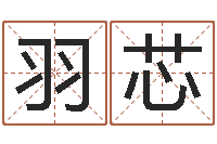 钟羽芯北京墓地陵园-十二生肖星座运势