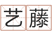 穆艺藤饿命学-袁天罡称骨算命v2.0