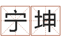宁坤姓名电脑免费评分-d八卦图