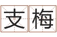 王支梅李居明姓名学-河南玄学研究会