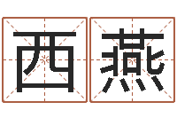 张西燕姓名笔画缘分测试-会计公司起名