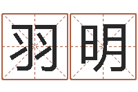 陈羽明测名网-免费姓名算卦