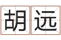 胡远堪舆家-胡一鸣八字命理