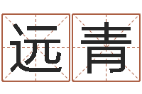 李远青科学家评论-网上算命阿启