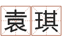 袁琪真命云-传奇行会名字