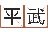 李平武易经迹-在线测生辰八字