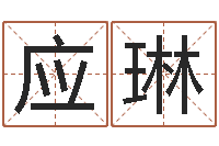 应琳继命传-cs名字