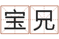 张宝兄问圣芯-在线取名软件