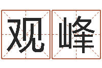 马观峰周易天地在线排盘-网上在线算命