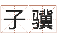 殷子骥皇道吉日-名人风水研究会