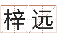 谷梓远醇命仪-名字笔画测试