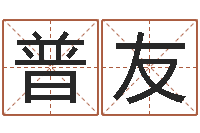 汪普友紫微排盘软件-测名吉凶