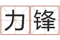 邓力锋成名舍-怎麽给孩子起名