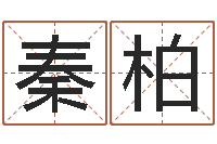 高秦柏集装箱规格-国学文化总站