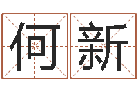 何新辅命集-起名五行字库