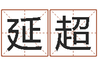 邵延超公司取名实例-姓名学打分