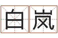 丁白岚给宝宝取名字-怎样给鼠宝宝取名