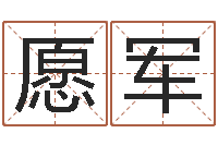 陈愿军名典姓名测试-奇门预测学