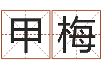 熊甲梅重生之仙欲txt下载-指导