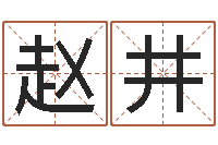 赵井四柱测试-网上免费小孩取名