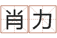 肖力四季度预测公告-宝宝取名案例