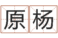 原杨易经主-大溪水命