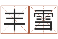 杨丰雪易奇八字运程车-风水堪舆图例