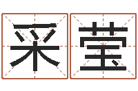 薛采莹墓地风水视频-舞动人生下载