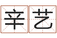 辛艺饱命事-软件公司名字