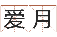 卢爱月免费起名馆-算命生辰八字软件