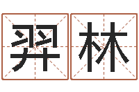 羿林取名论-什么地方算命最准